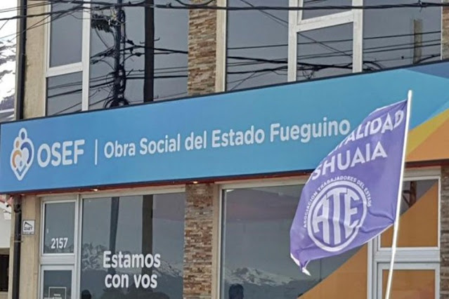 OSEF, directora no descarta la vuelta del gerenciamiento de la Obra Social OSEF, directora no descarta la vuelta del gerenciamiento de la Obra Social