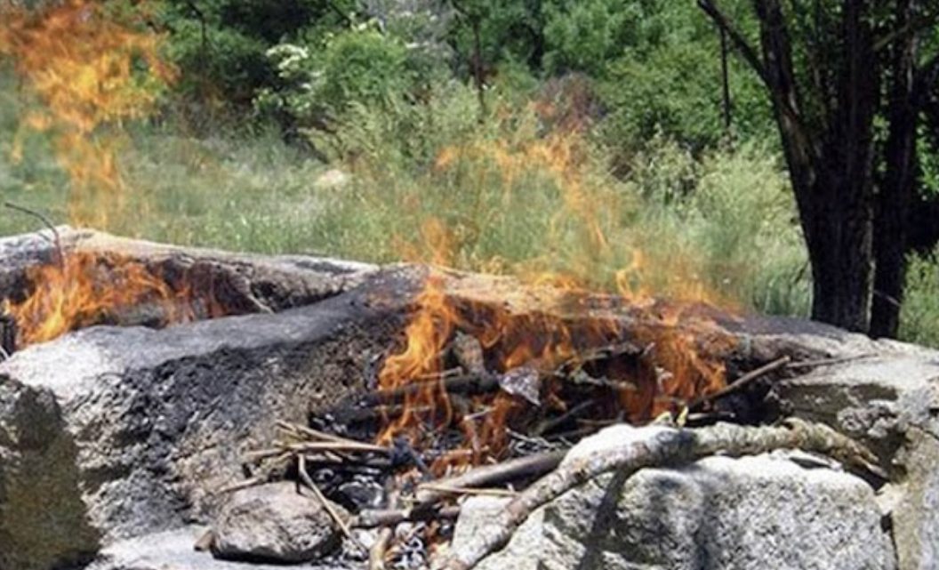 Piden Extremar Cuidados En El Campo, Para Evitar Incendios Forestales