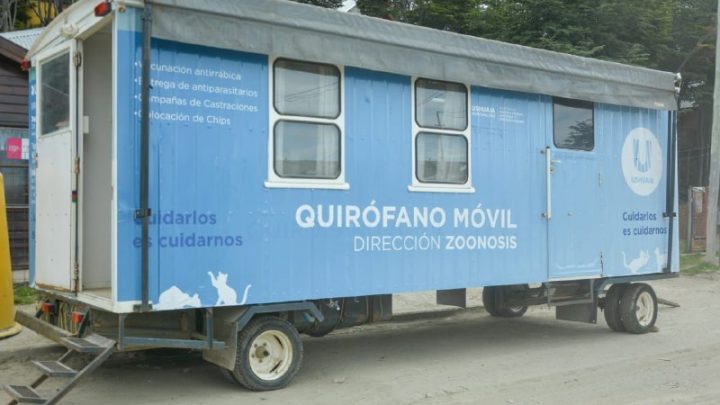 SE REALIZÓ OTRA EXITOSA JORNADA DE “ZOONOSIS MÁS CERCA”