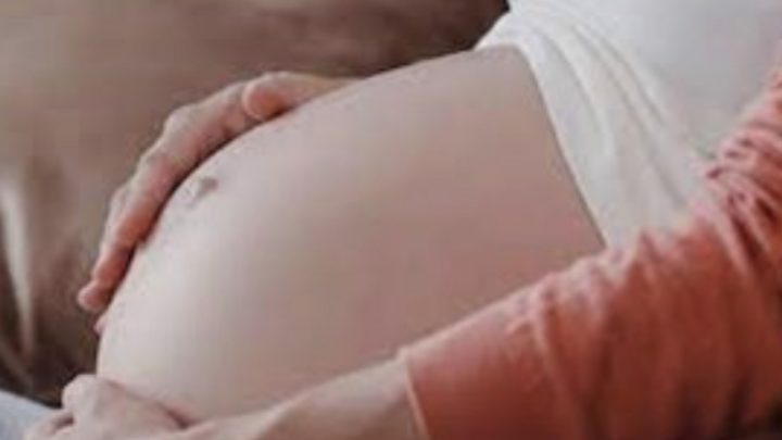 La Justicia De Rosario Autoriza A Una Mujer A Gestar En Su Vientre A Su Nieto