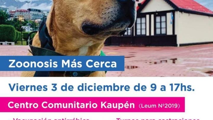 EL PROGRAMA MUNICIPAL DE USHUAIA “ZOONOSIS MÁS CERCA” LLEGARÁ AL BARRIO KAUPÉN