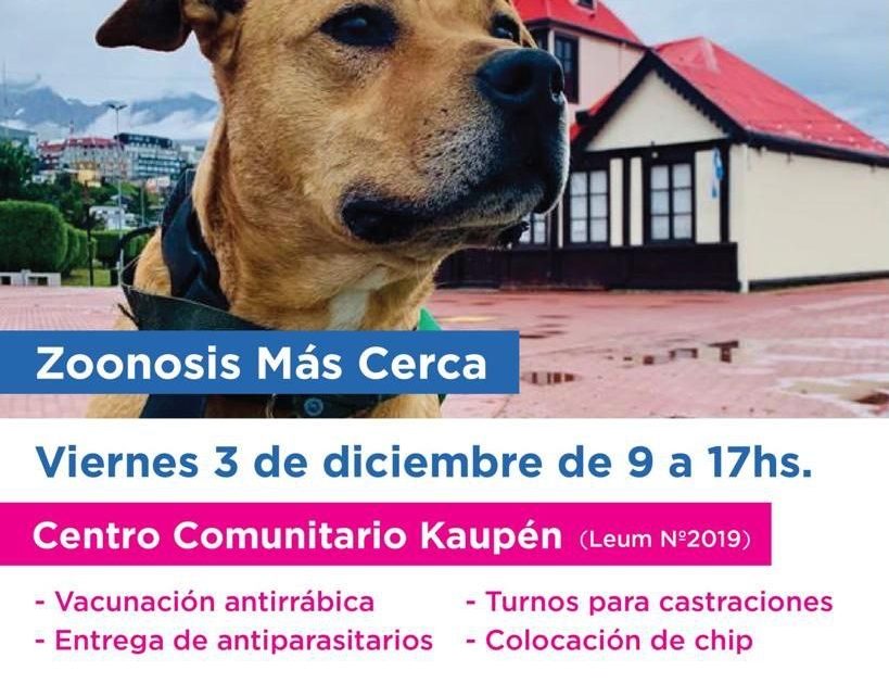 EL PROGRAMA MUNICIPAL DE USHUAIA “ZOONOSIS MÁS CERCA” LLEGARÁ AL BARRIO KAUPÉN