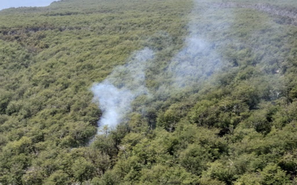Incendio Forestal En La Zona Del Bombilla