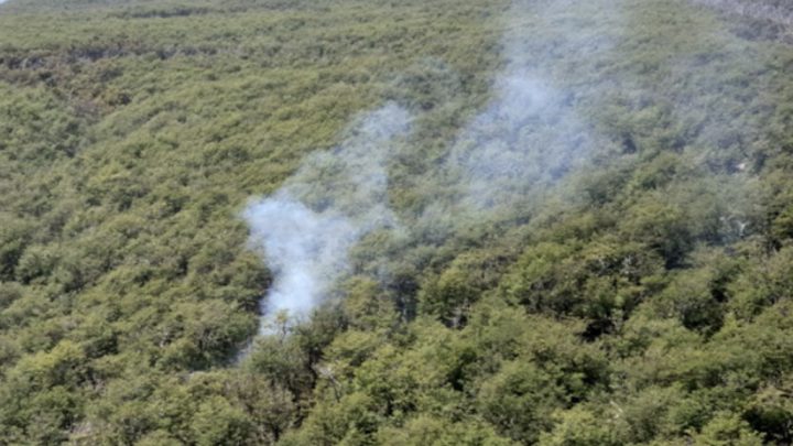 Incendio Forestal En La Zona Del Bombilla