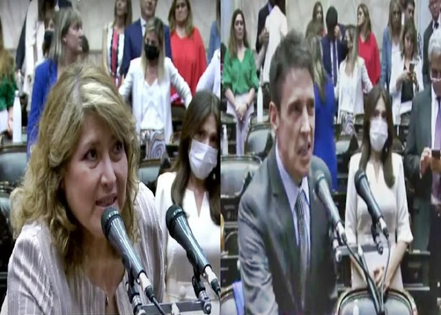 Diputados juraron Carolina Yutrovic y Hector Stefani y asumen el viernes su segundo mandato