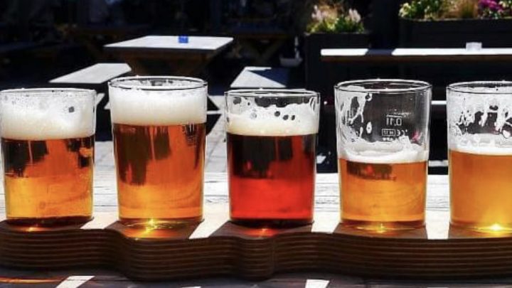 Ciencia y Cerveza”: Capacitarán a productores cerveceros en nuevos desarrollos e investigaciones