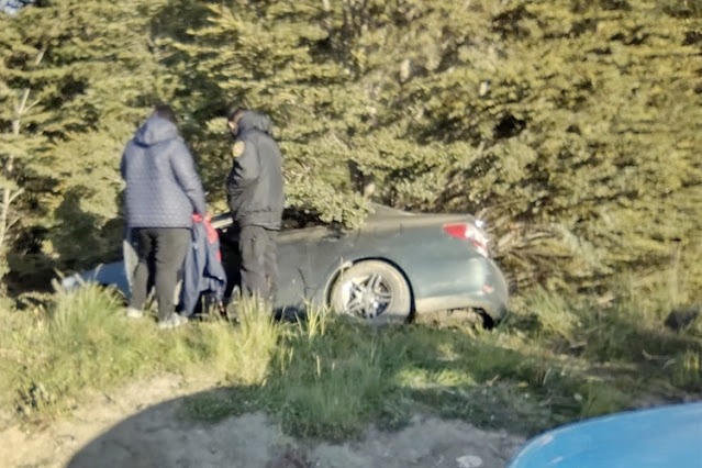 Ebrio volcó y se internó en el bosque, en donde fue detenido