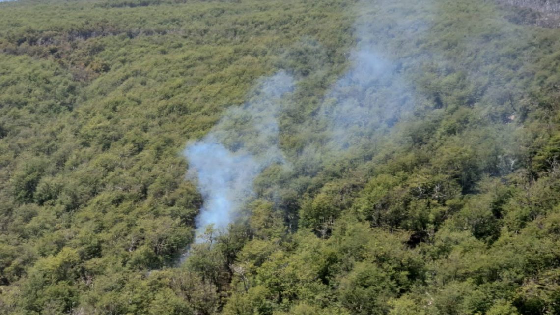 Extinguen incendio forestal en la zona de laguna Bombilla Extinguen incendio forestal en la zona de laguna Bombilla