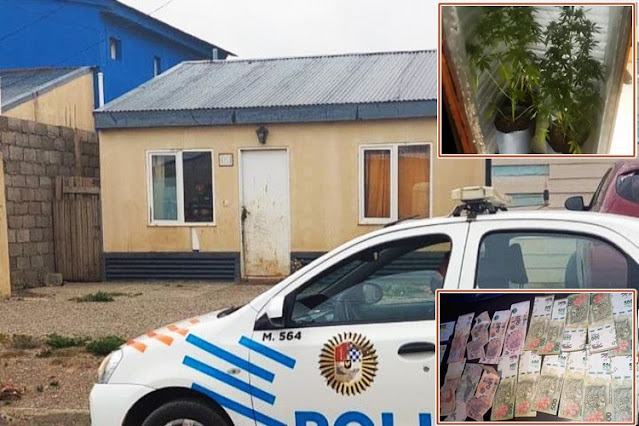 Allanamiento, secuestran marihuana, dinero y tarjetas de crédito robadas