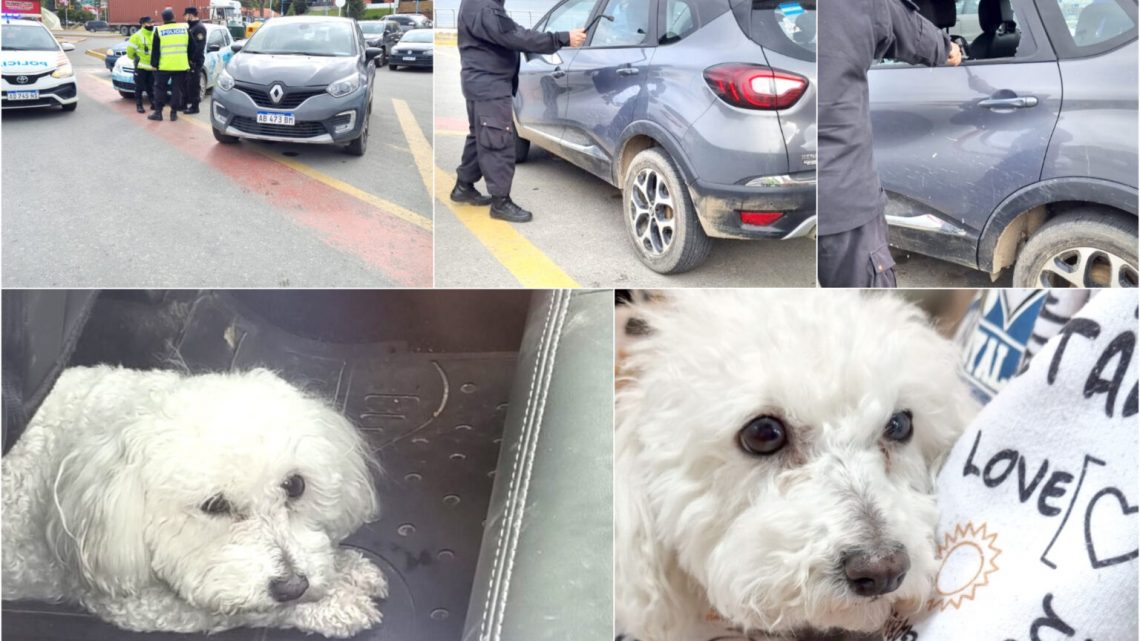 Se fue a pasear en catamarán y dejó encerrada a su perra en el vehículo