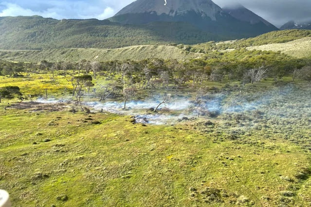 Incendio forestal camino a Almanza