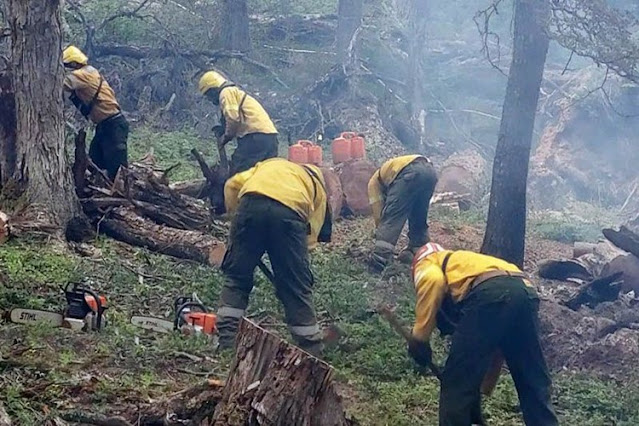 Controlaron el incendio forestal en la zona del Bombilla