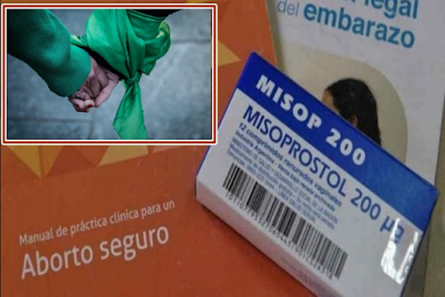 TDF la provincia donde mas abortos legales por cantidad de mujeres se realizaron en Argentina