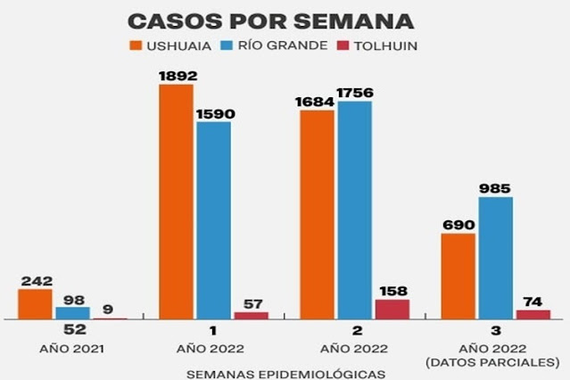 Siete muertes y 1749 nuevos casos en tres días en TDF Siete muertes y 1749 nuevos casos en tres días en TDF