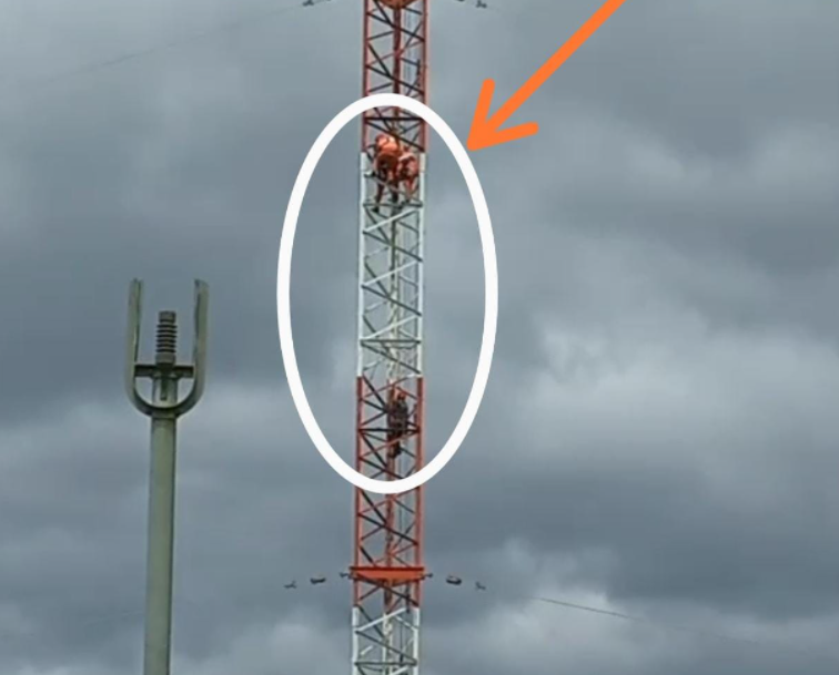 Un hombre tuvo en vilo a las fuerzas de seguridad tras subirse a una antena