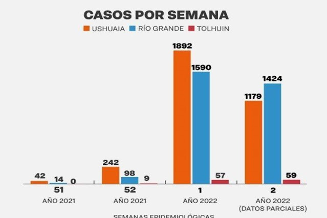 En tres días se registraron mas de 2600 casos en TDF y 39 personas internadas