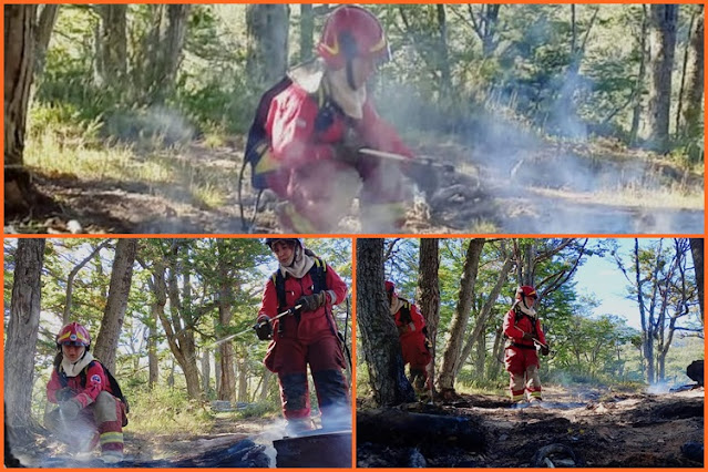 Incendio en Ushuaia en un sector de bosque