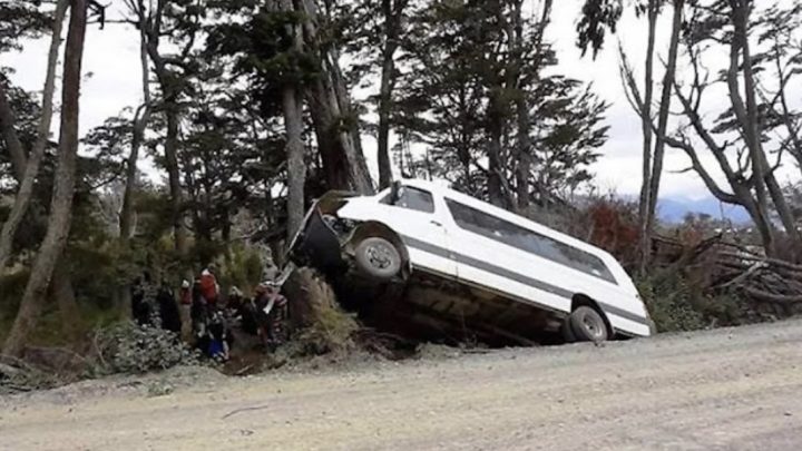 6 Heridos En Choque De Una Combi Contra Un Árbol En Almanza