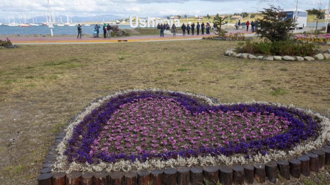 Las Flores Llenan De Colores La Ciudad Con La Temporada De Verano Las Flores Llenan De Colores La Ciudad Con La Temporada De Verano