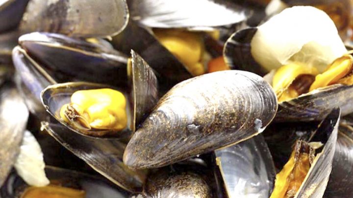 Marea Roja: Sigue vigente la veda de recolección, comercialización y consumo de moluscos bivalvos