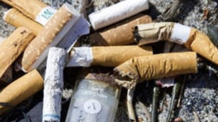 Las colillas de los cigarros, el producto que genera más basura tóxica en el mundo