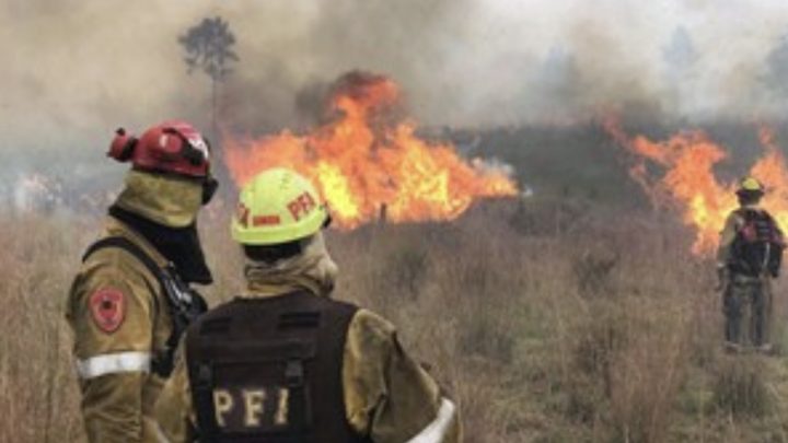 Drama en Corrientes: investigan 75 denuncias por incendios intencionales