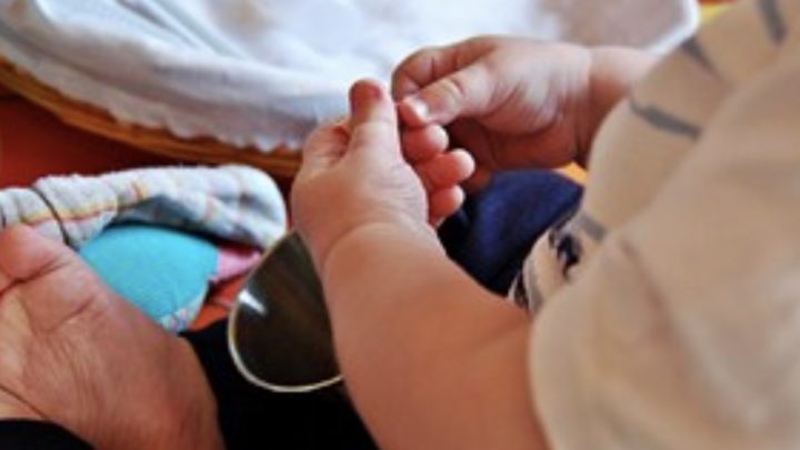 Murió un bebé tras tragarse la pila de un peluche: lo quemó por dentro y le hizo un agujero en el corazón