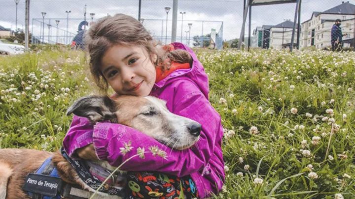 La Municipalidad de Ushuaia realizó el cierre de la colonia de verano del Dispositivo de Terapia Asistida con Perros