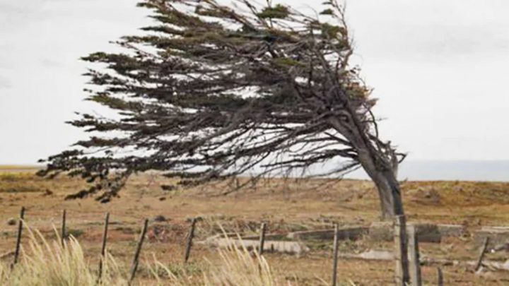 Alerta Amarilla Por Fuertes Vientos Para Este Fin De Semana