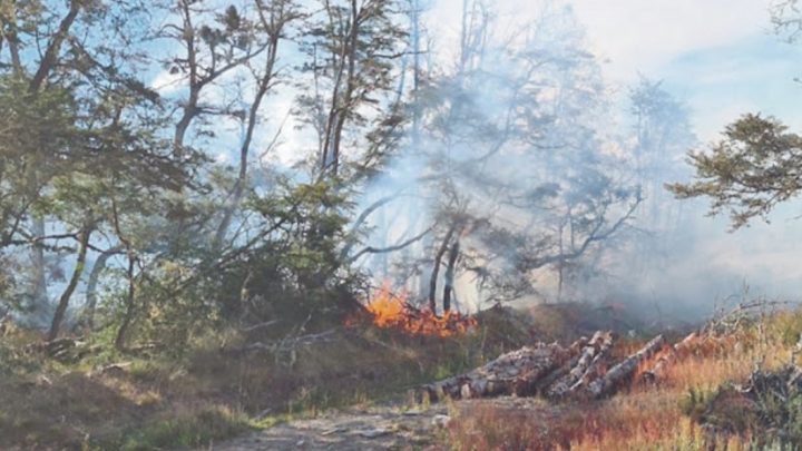 Bomberos lograron sofocar un incendio de pastizales