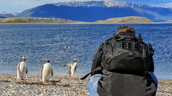 Llegaron 200 Mil Visitantes Y Se Mantiene Una Alta Ocupación Hotelera