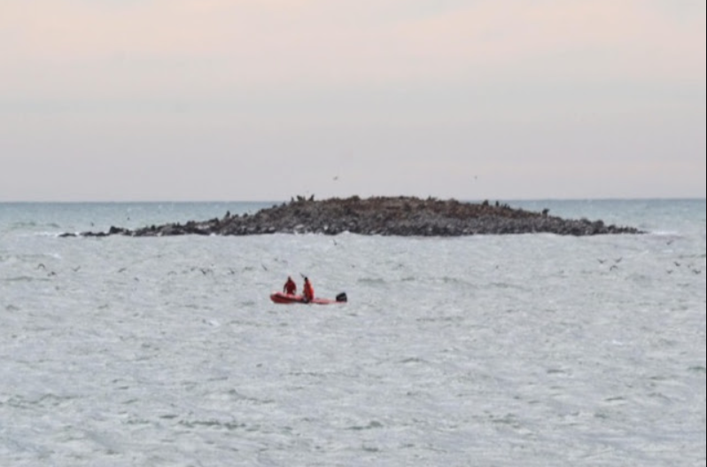 Búsqueda de un hombre en la zona de la Isla de los Lobos