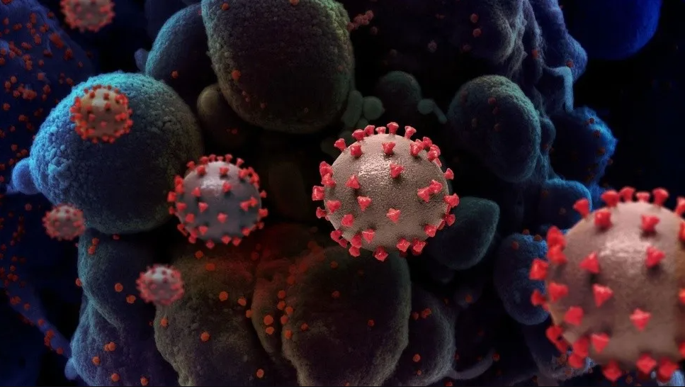 Ómicron: BA.2, la subvariante «sigilosa» de Covid más dominante, ¿qué síntomas genera?