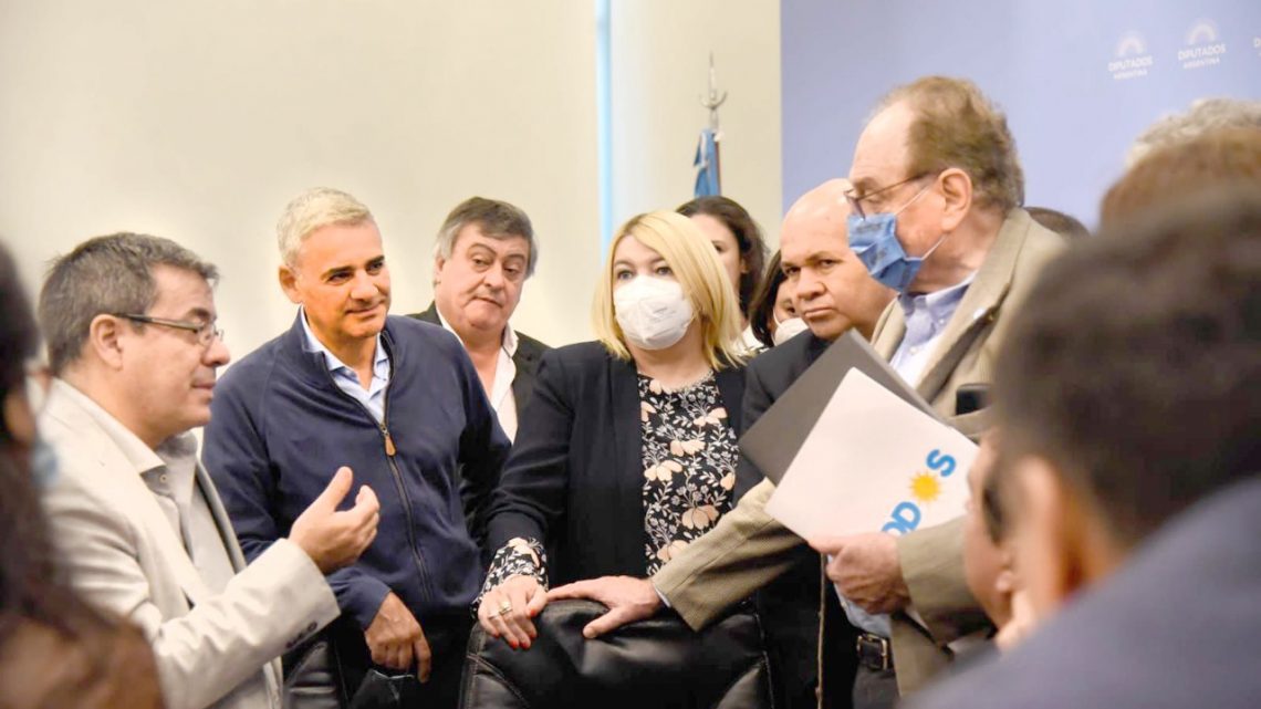 Bertone: “La sociedad transita por un carril y los diputados pareciera que por otro…”