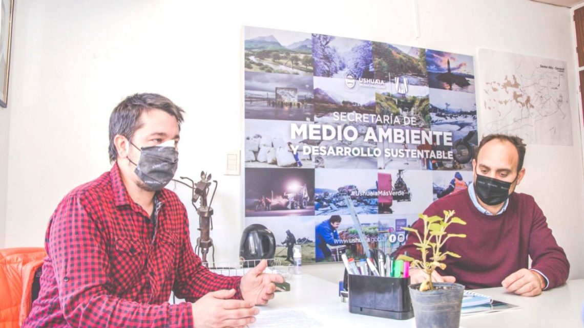 Esa maldita costumbre… ¡basta de tirar las colillas al suelo!.