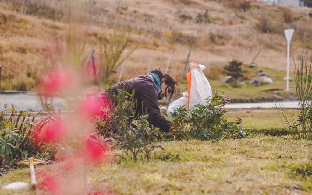 TRABAJOS DE EMBELLECIMIENTO DE ESPACIOS VERDES EN LA CIUDAD DE USHUAIA TRABAJOS DE EMBELLECIMIENTO DE ESPACIOS VERDES EN LA CIUDAD DE USHUAIA