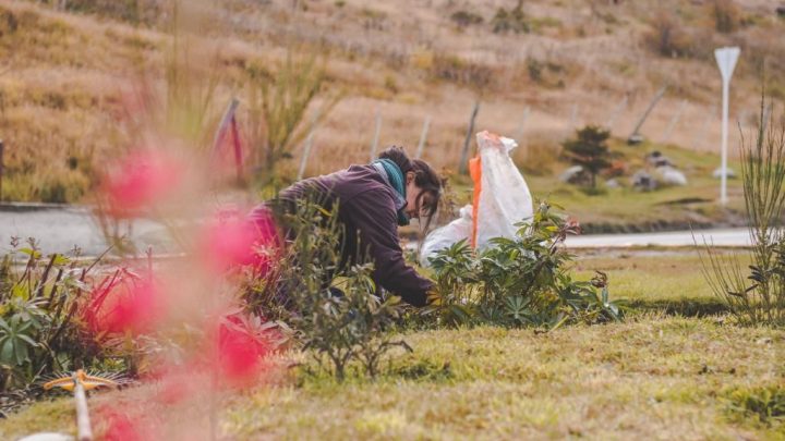 TRABAJOS DE EMBELLECIMIENTO DE ESPACIOS VERDES EN LA CIUDAD DE USHUAIA