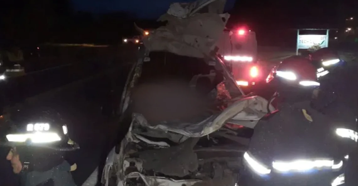 Atropelló a un caballo y se incrustó en la camioneta: el animal murió en el acto