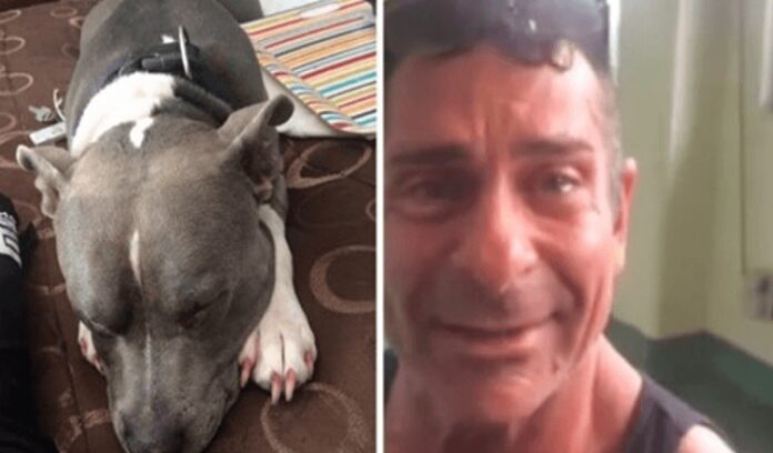 El hombre se reúne con su perro robado solo dos días antes de que fuera programado para ser sacrificado