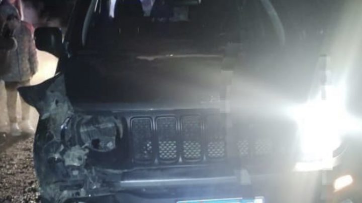 Chocaron un guanaco en la ruta: el animal murió