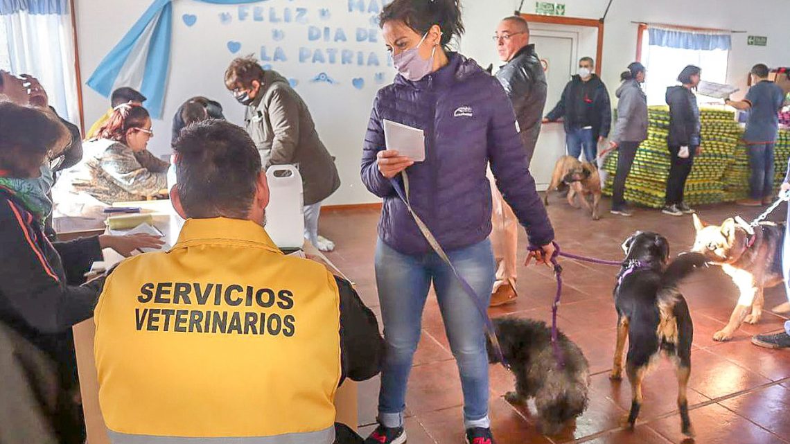 Unas 800 mascotas fueron vacunadas contra la rabia Unas 800 mascotas fueron vacunadas contra la rabia