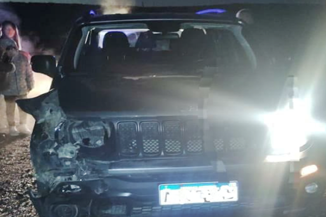 Jeep Patriot atropello un guanaco en la Ruta 3 Jeep Patriot atropello un guanaco en la Ruta 3
