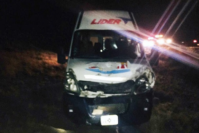 Choque contra un guanaco en la Ruta 3, sin lesionados Choque contra un guanaco en la Ruta 3, sin lesionados