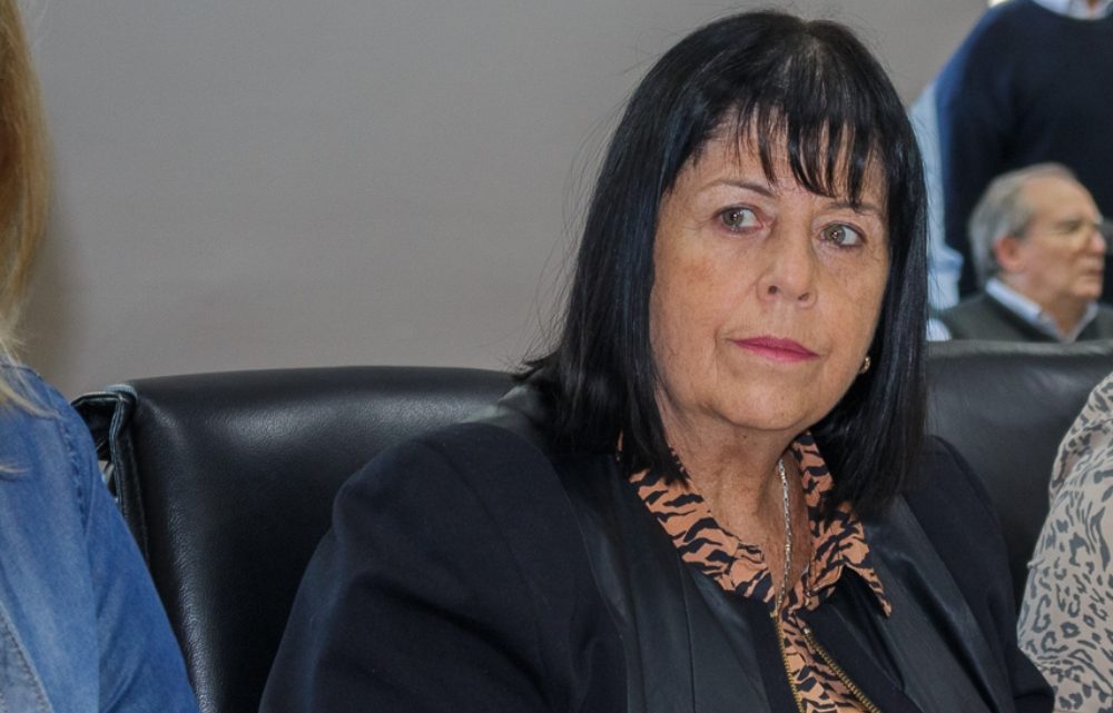 Martínez Allende: “Estamos en óptimas condiciones para poder aprobar este proyecto de Ley”