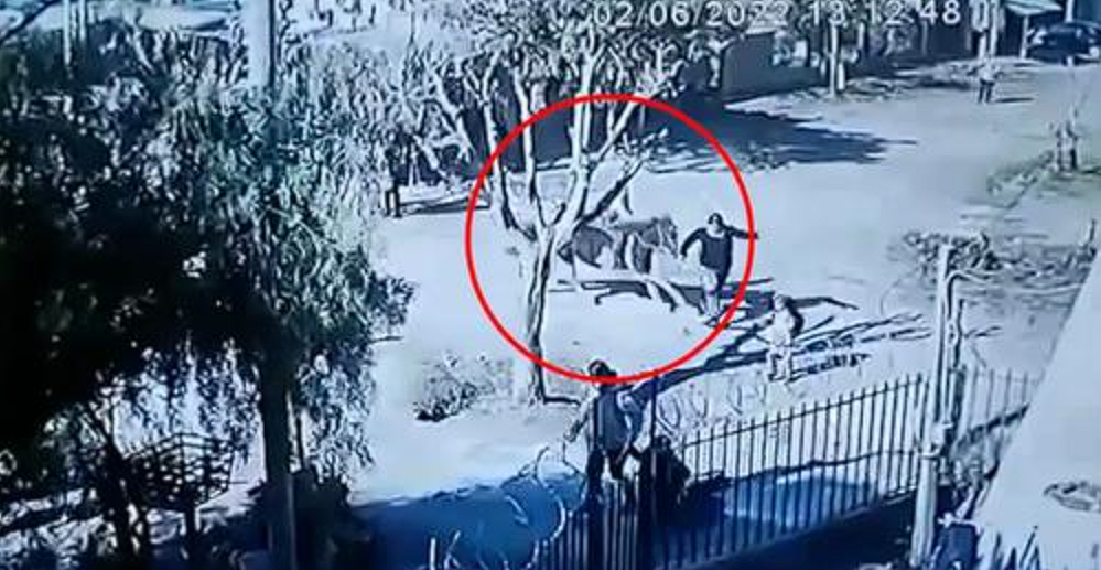 Tiene 12 años, montaba a caballo, se descontroló y embistió a dos mujeres: “Cuando me di vuelta, lo tenía encima”