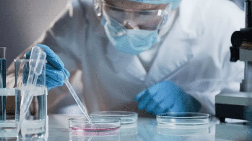 Avance en la lucha contra el cáncer: prueban con éxito una vacuna para eliminar tumores en animales Avance en la lucha contra el cáncer: prueban con éxito una vacuna para eliminar tumores en animales