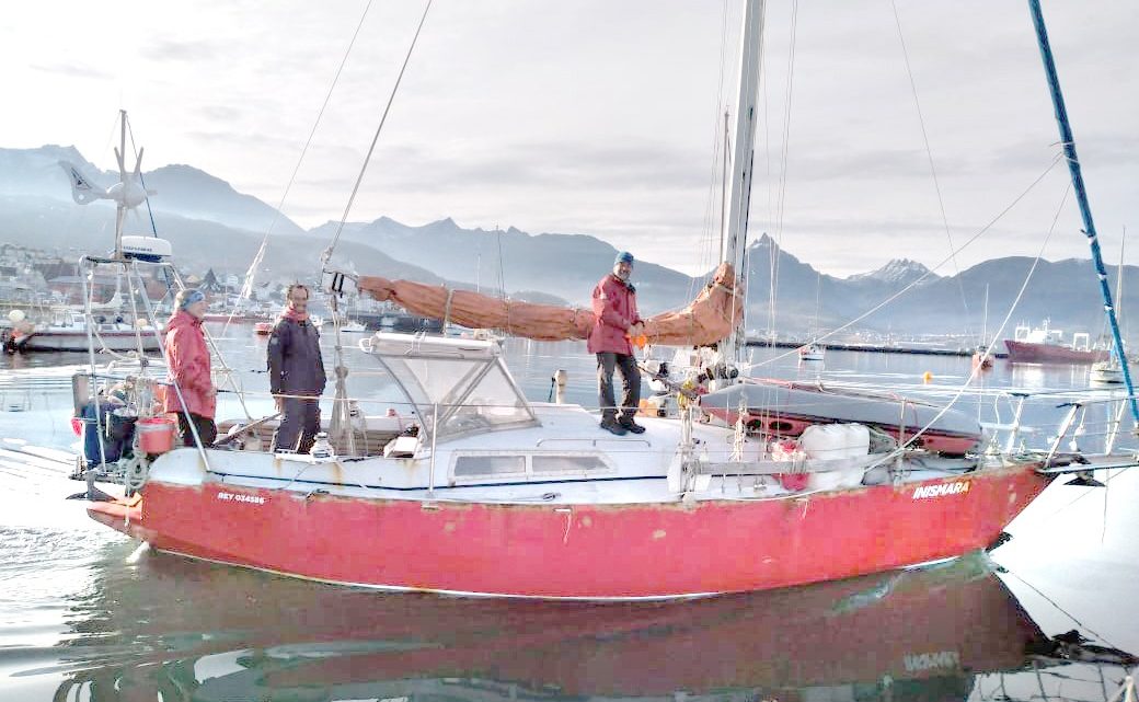 Se identificó al velero que impactó a una ballena jorobada