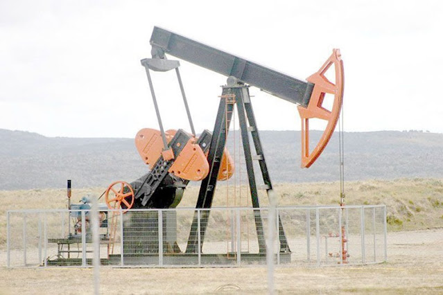 Terra Ignis el apuro para crearla y aprobarla, era para poder entregar áreas a Roch