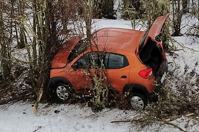 Despiste y choque contra unos arboles en la Ruta 3, sin lesionados
