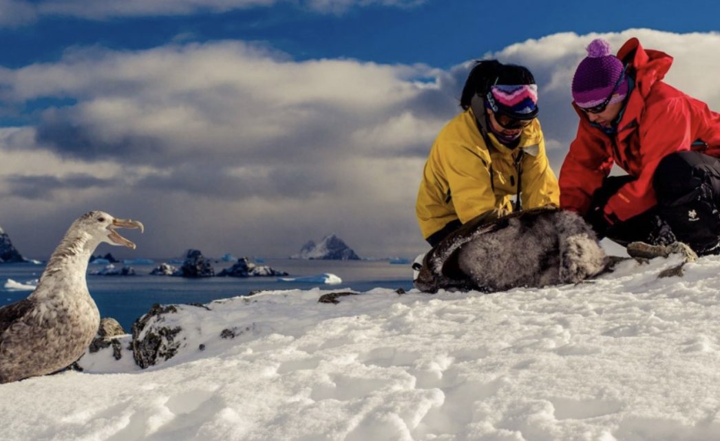 Aseguran que las plataformas de hielo de la Antártida se derriten más rápido Aseguran que las plataformas de hielo de la Antártida se derriten más rápido